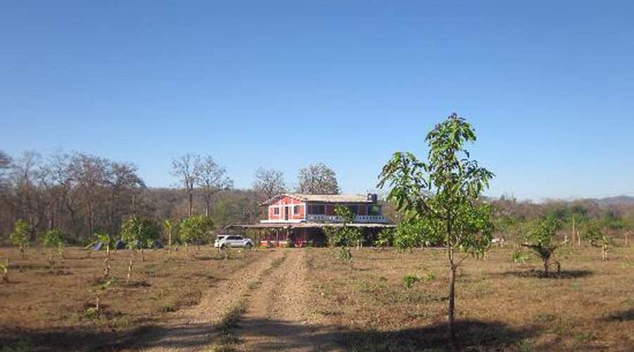 Stanley's Farm House, Dandeli 5